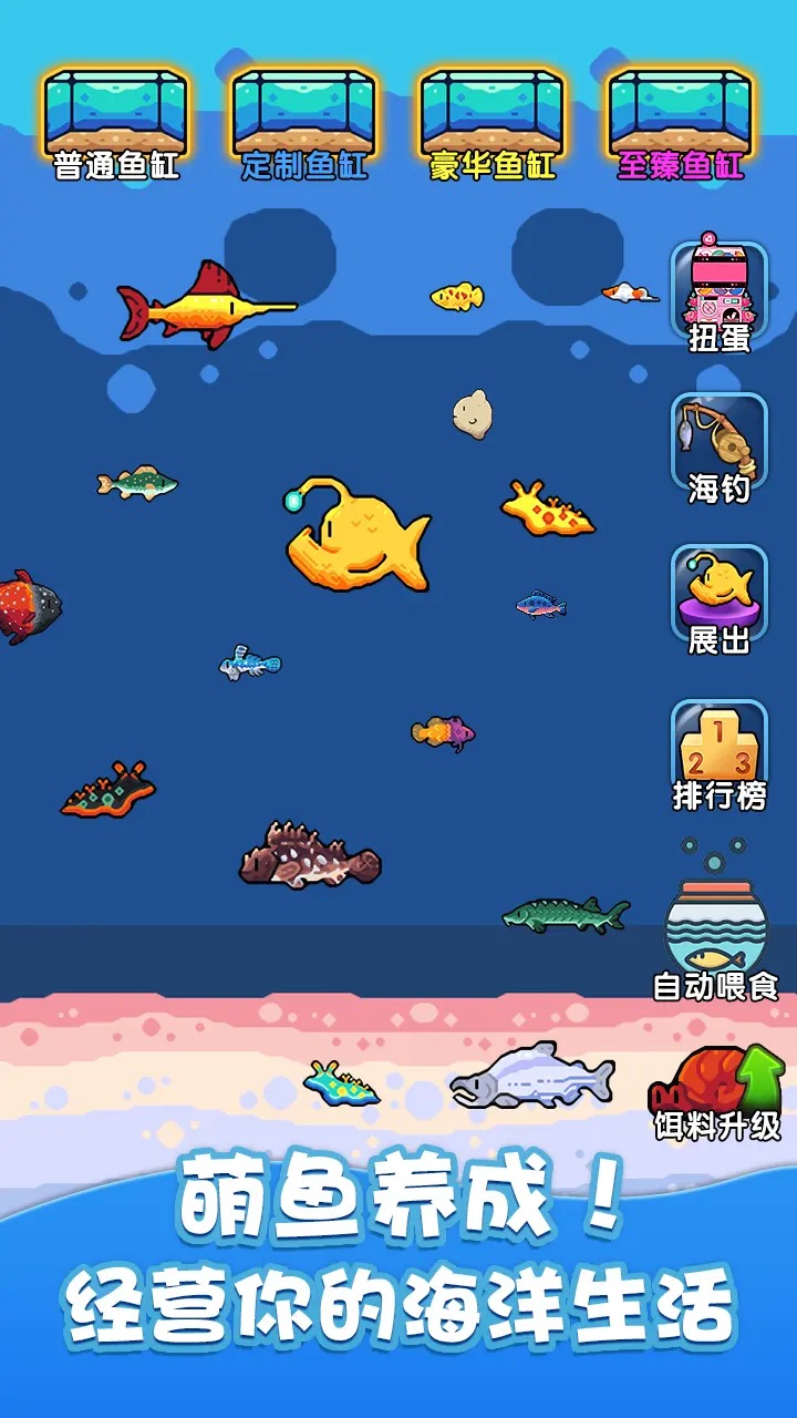 快来养鱼 截图3