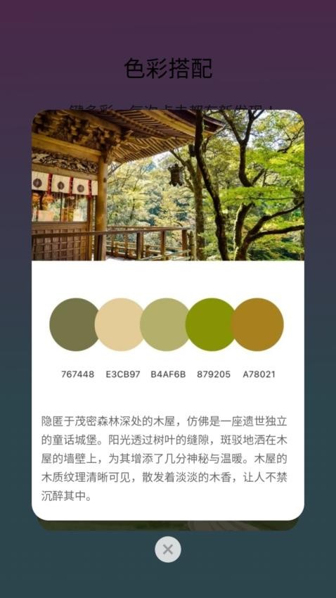 颜多多app 截图2