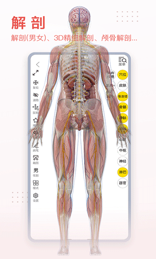 3dbody解剖app 截图3