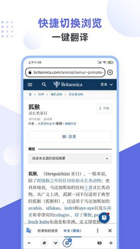 狐猴浏览器2025最新版 截图5