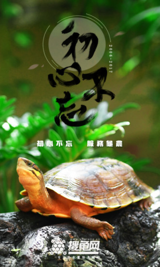 搜龟网 截图1
