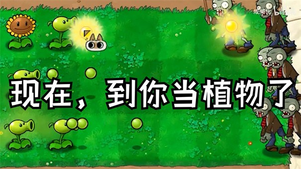 植物大战僵尸繁琐版免费版 截图1