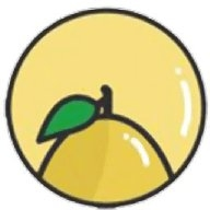 小柚子正版追剧app
