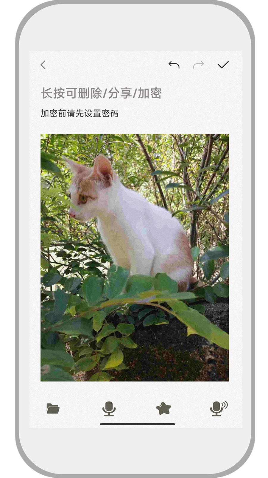 速记备忘录最新版