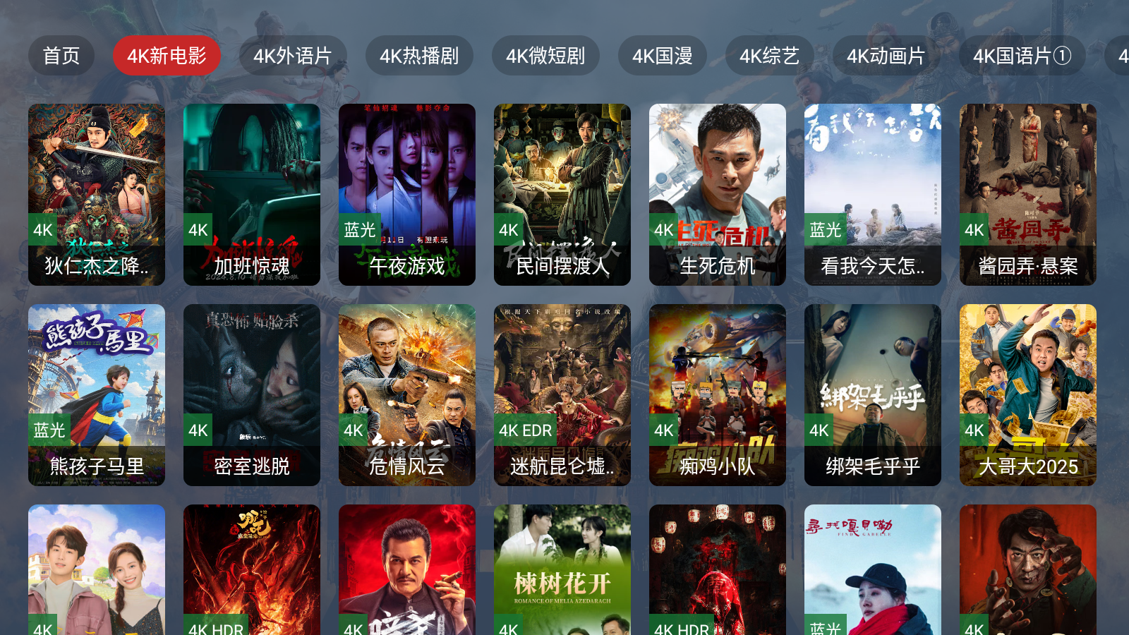 4k视界app官方入口 截图8