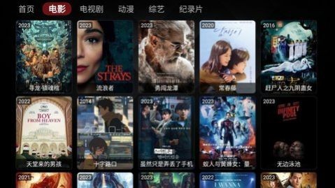 Wocflix 截图1