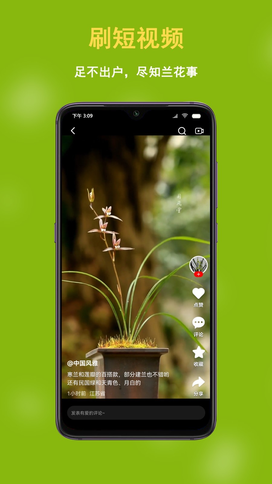 兰花交易网 截图2