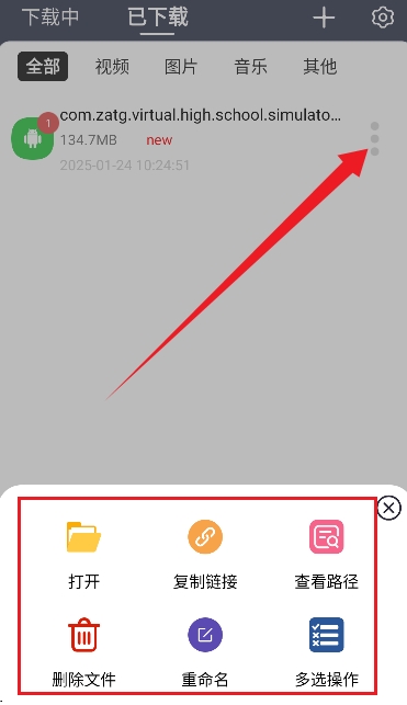 海马下载器正版