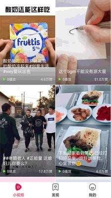 猫咪小视频 截图4