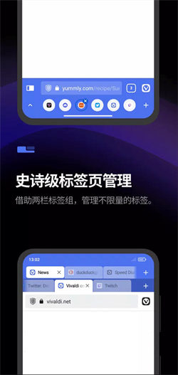 vivaldi浏览器官方版 截图1