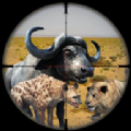 边境动物狩猎游戏  v1.9