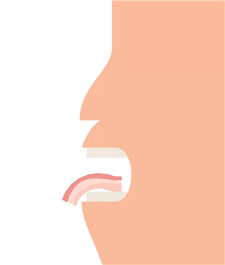 培根Bacon游戏 截图1