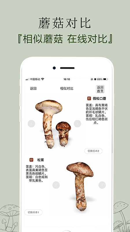 菌窝子(识别蘑菇)  截图5