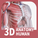 口袋人体解剖app 2.2.8