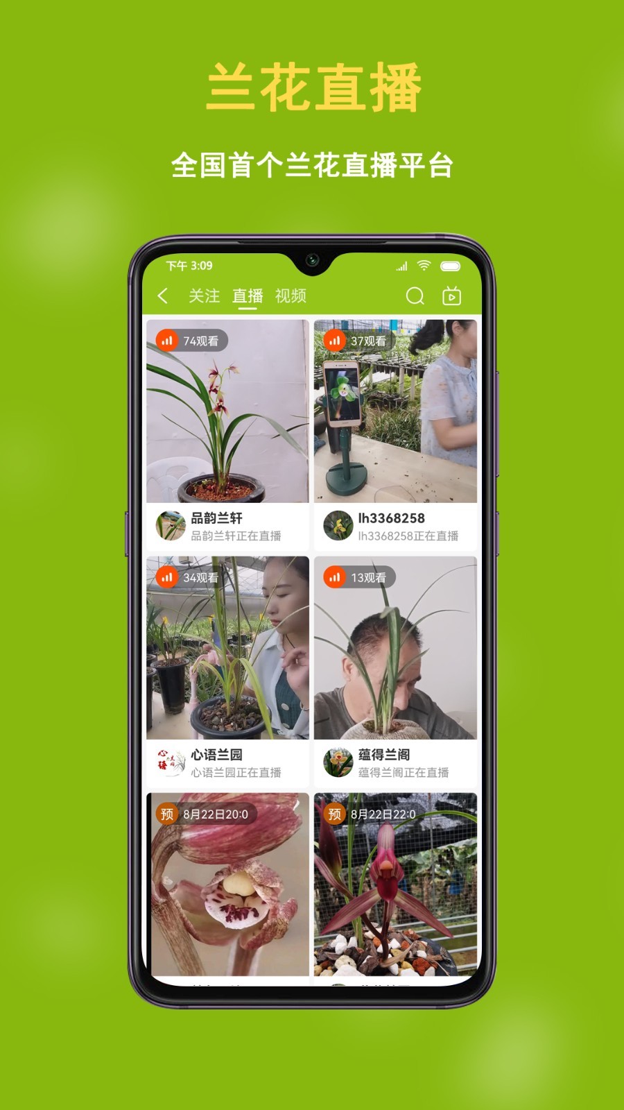 兰花交易网 截图1