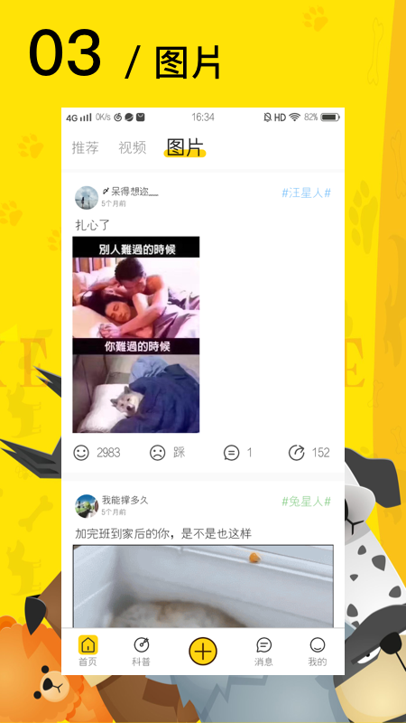 爱宠星球 截图4