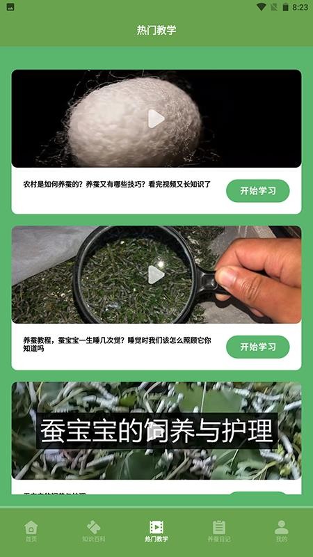 蚕宝宝 截图1