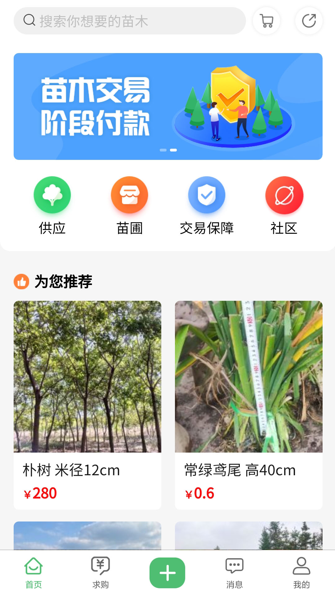 苗青青app