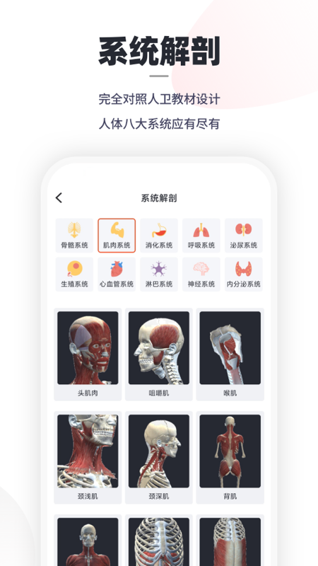 口袋人体解剖app 2.2.8 截图1