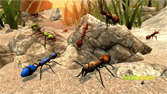 蚂蚁模拟器地下蚁国2