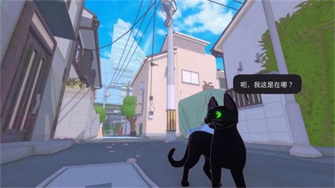 小猫咪大城市最新版2026 截图1