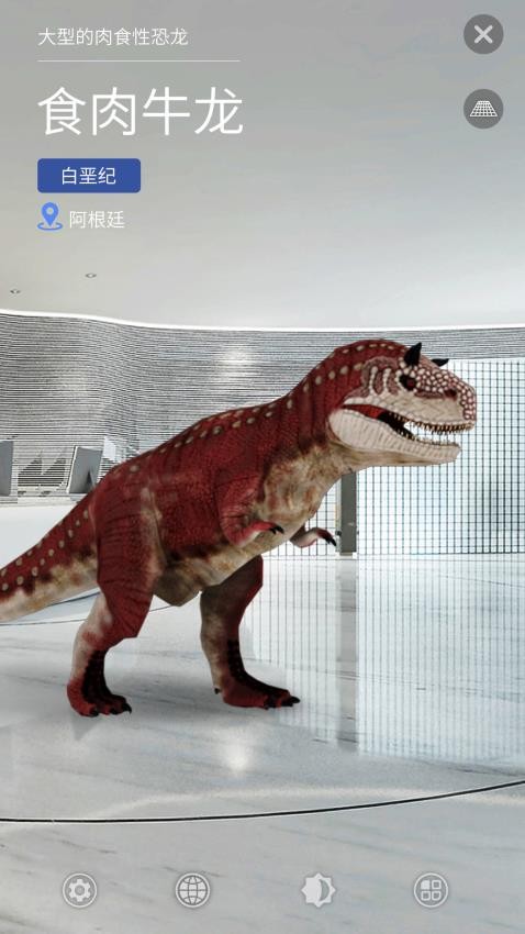 大眼探世界