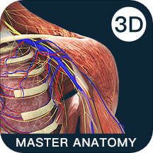 解剖大师app v3.5.0   v3.6.0 安卓版