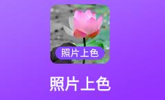 照片上色app v21.12.02 1