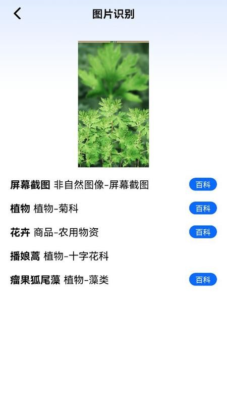 看图识物软件 截图3