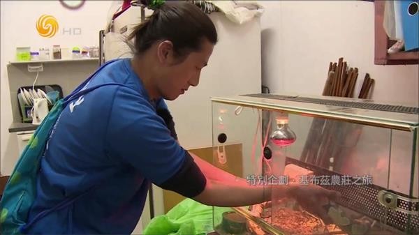 大视界tv安卓手机版 截图2
