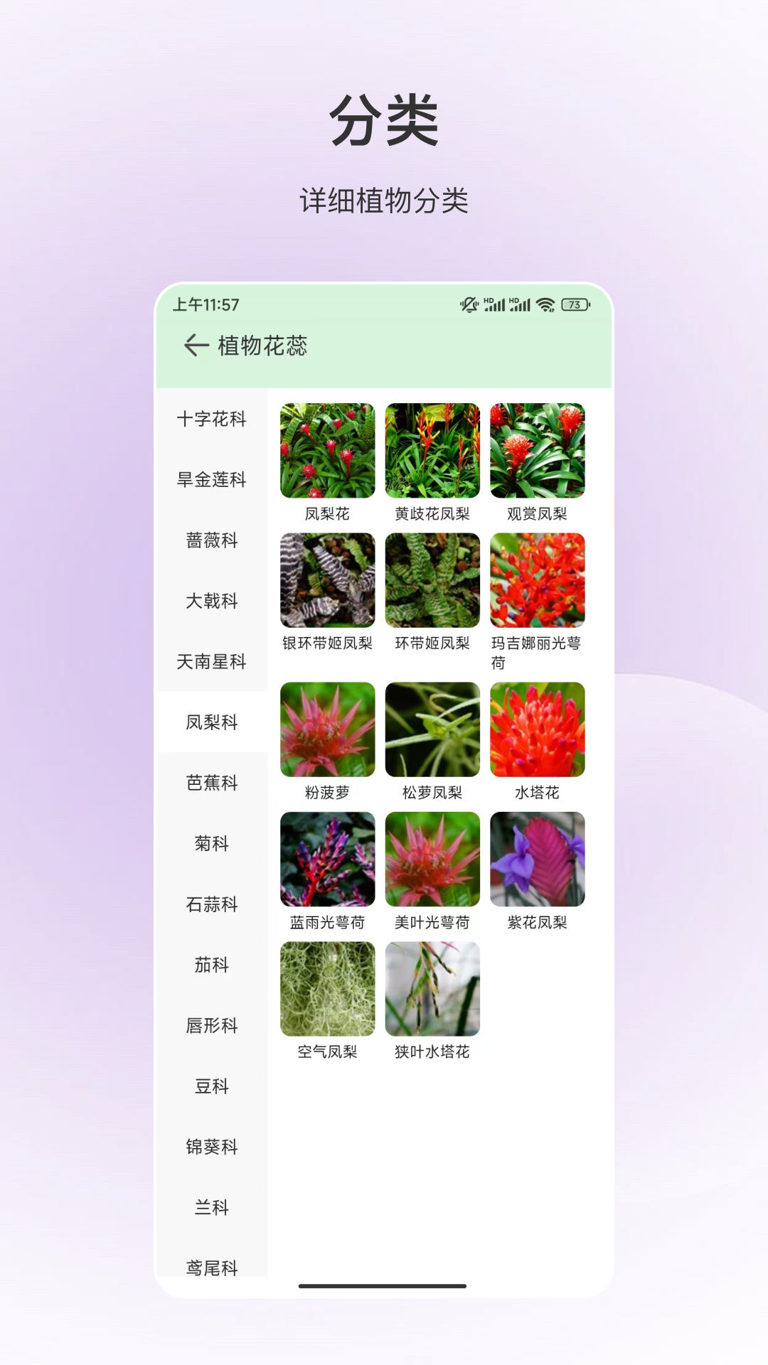 动物识别 截图3