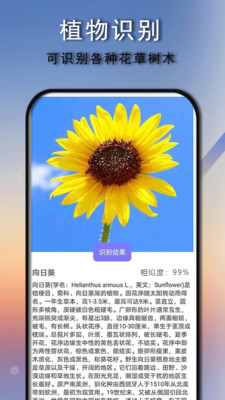 拍照识别识物免费版 截图3