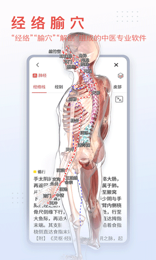 3dbody解剖app 截图1