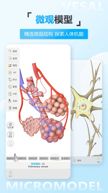 维萨里3d解剖app最新版 截图4