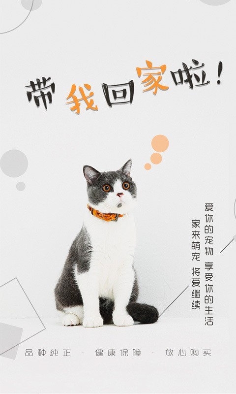 猫行狗市 截图1