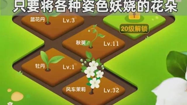 幸运花园天降红包版1.0