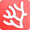 珊瑚文学app  v1.3.0