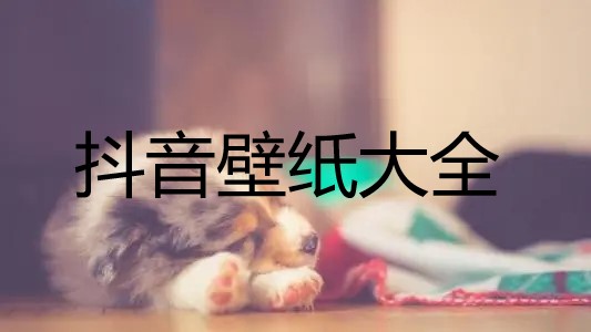 抖音壁纸大全