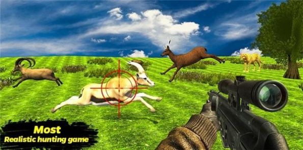 猎鹿探险游戏 截图4