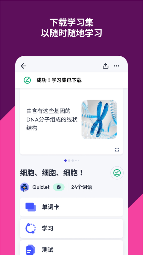 quizlet最新中文版 截图4