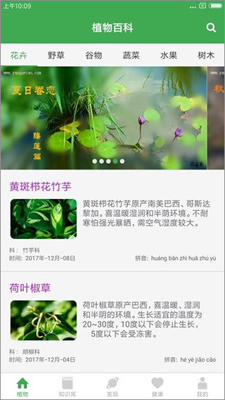 植物百科 截图4