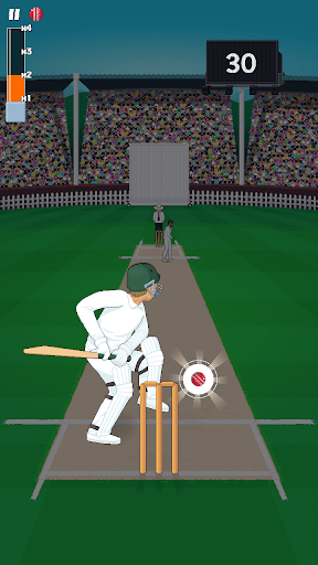 Mighty Cricket(强大的棒球游戏) 截图2