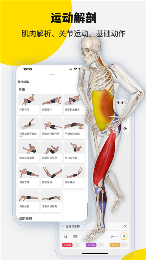 3dbody解剖图手机旧版 截图1