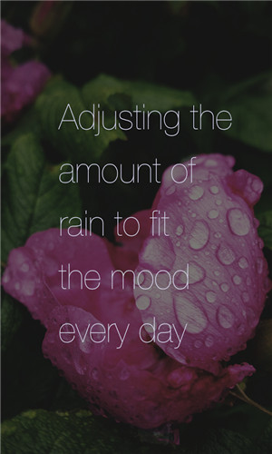 下雨声助眠 截图3