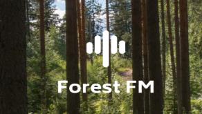 森林白噪音app 1.0.1 1