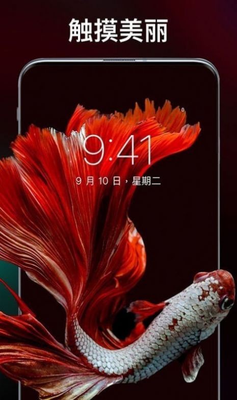 灵猫主题壁纸 1