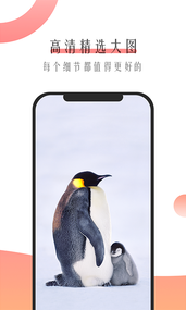 米柚壁纸app 截图2