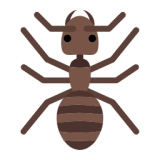 小蚂蚁儿歌  v1.0