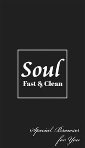 soul browser浏览器纯净版