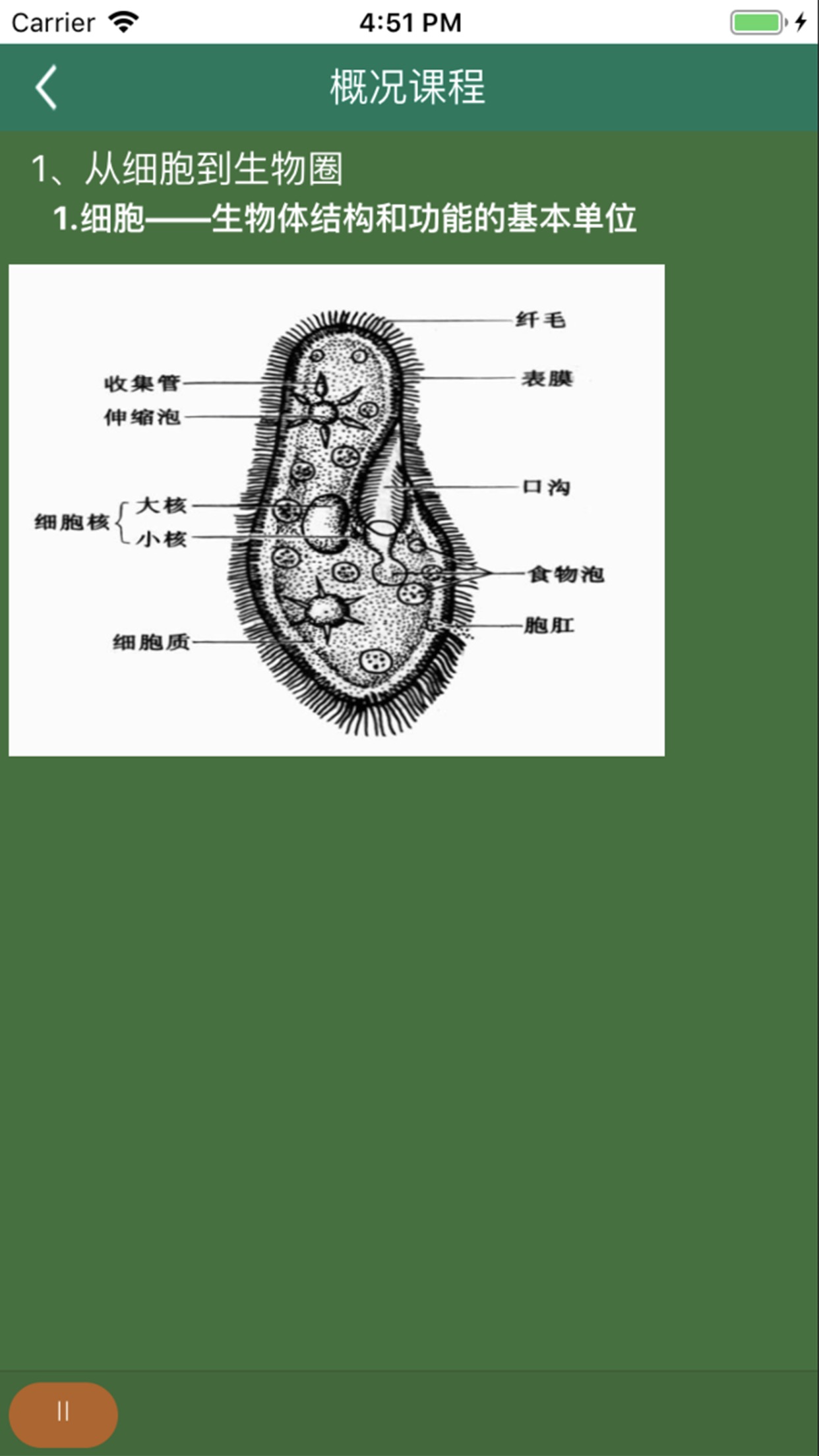 松鼠高中生物 截图1